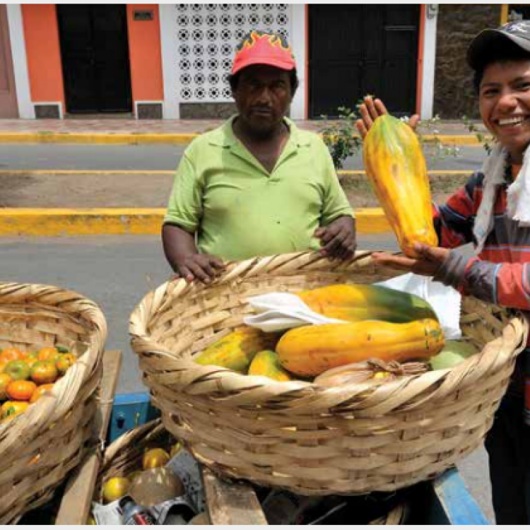 NICARAGUA: Strengthening the Microfinance Sector